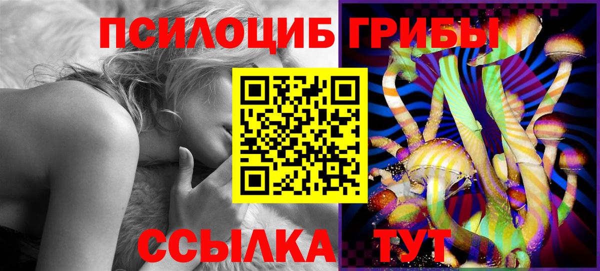 Псилоцибиновые грибы Cubensis Новоуральск